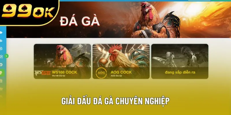 Giải đấu đá gà chuyên nghiệp