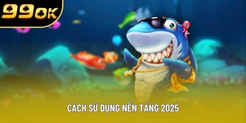 Cách sử dụng nền tảng 2025