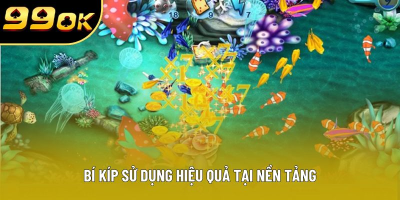 Bí kíp sử dụng hiệu quả tại nền tảng Bí kíp sử dụng hiệu quả tại nền tảng